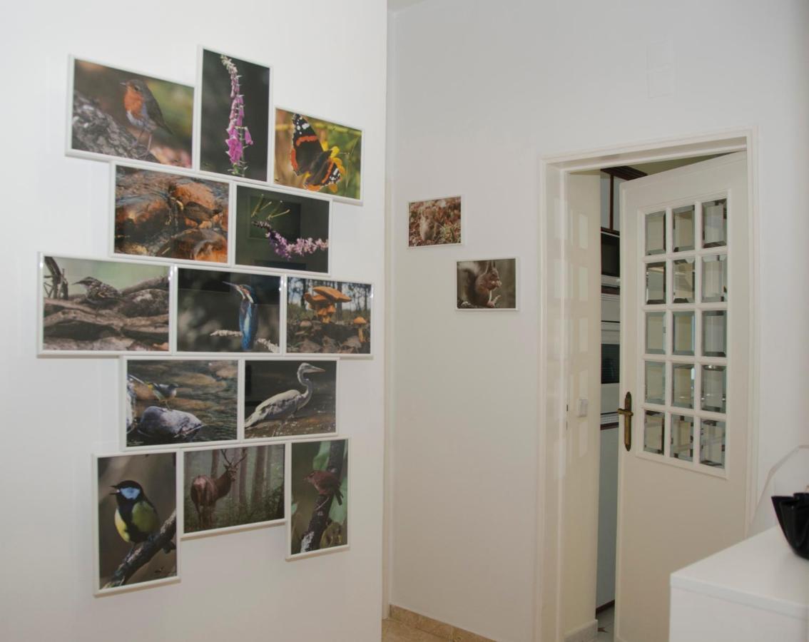 Casa Do Relogio Daire Lousã Dış mekan fotoğraf